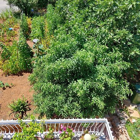 Apartmani Toni Vodice Extérieur photo
