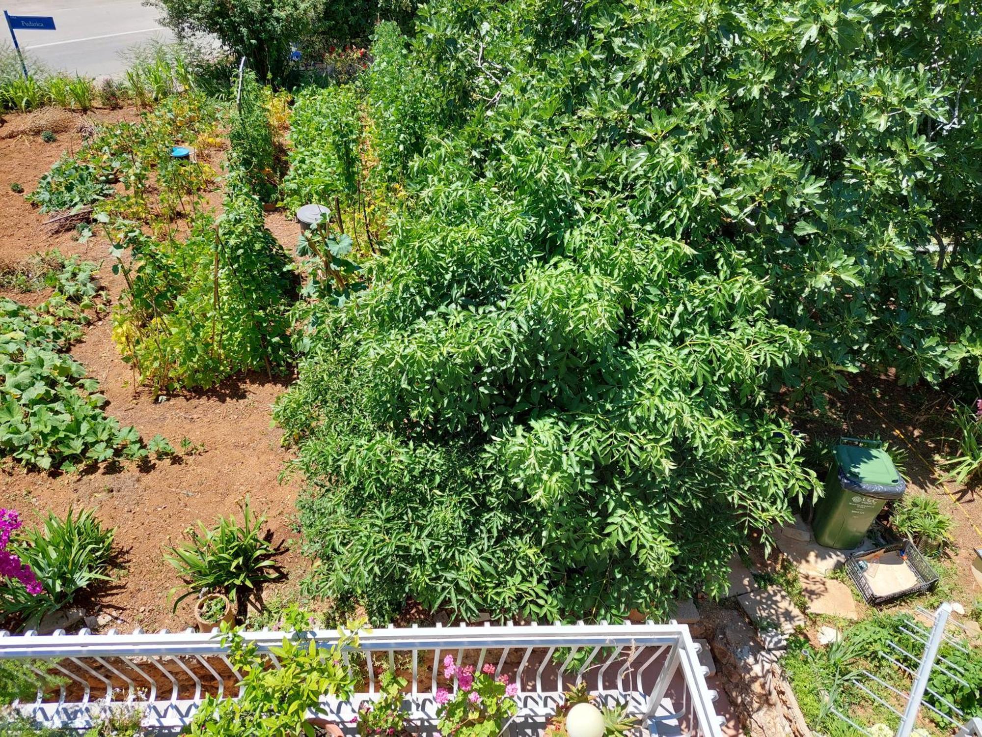Apartmani Toni Vodice Extérieur photo